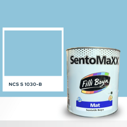Filli Boya Sentomaxx Boya NCS S 1030-B