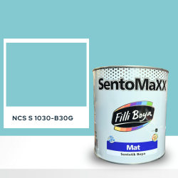 Filli Boya Sentomaxx Boya NCS S 1030-B30G