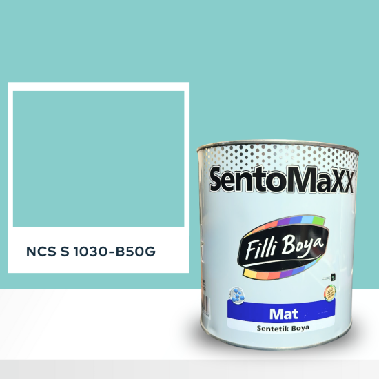 Filli Boya Sentomaxx Boya NCS S 1030-B50G