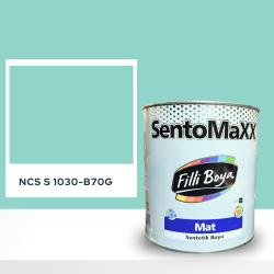Filli Boya Sentomaxx Boya NCS S 1030-B70G