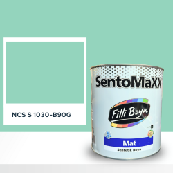 Filli Boya Sentomaxx Boya NCS S 1030-B90G