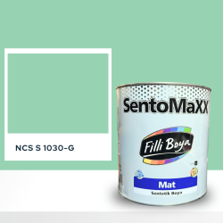 Filli Boya Sentomaxx Boya NCS S 1030-G