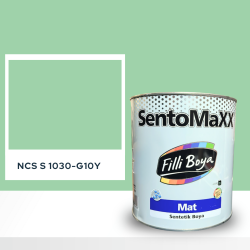 Filli Boya Sentomaxx Boya NCS S 1030-G10Y