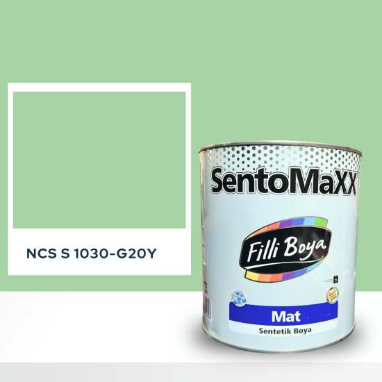 Filli Boya Sentomaxx Boya NCS S 1030-G20Y