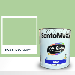Filli Boya Sentomaxx Boya NCS S 1030-G30Y