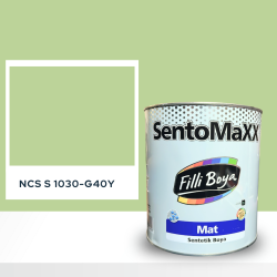 Filli Boya Sentomaxx Boya NCS S 1030-G40Y