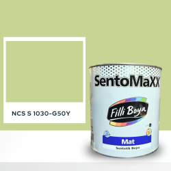 Filli Boya Sentomaxx Boya NCS S 1030-G50Y