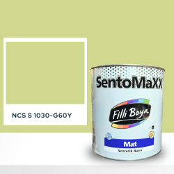 Filli Boya Sentomaxx Boya NCS S 1030-G60Y