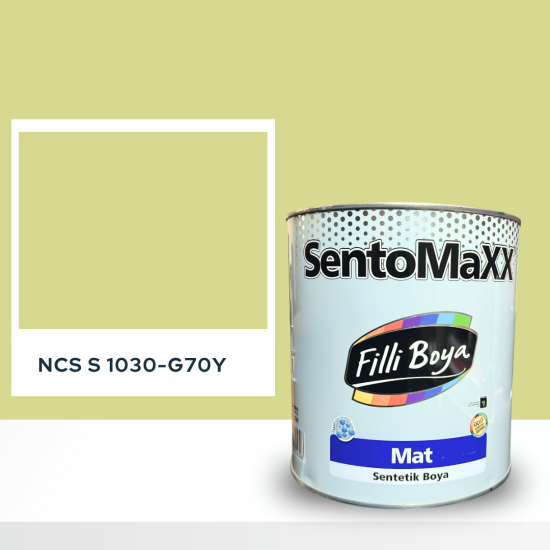 Filli Boya Sentomaxx Boya NCS S 1030-G70Y Filli Boya Sentomaxx Boya NCS S 1030-G70Y