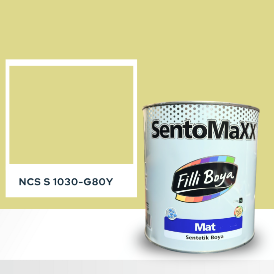 Filli Boya Sentomaxx Boya NCS S 1030-G80Y