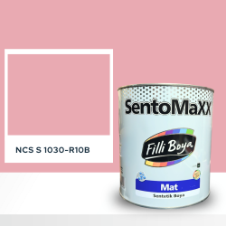 Filli Boya Sentomaxx Boya NCS S 1030-R10B