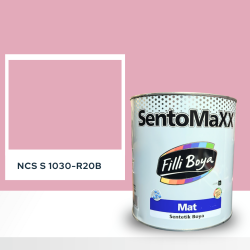 Filli Boya Sentomaxx Boya NCS S 2570-G20Y