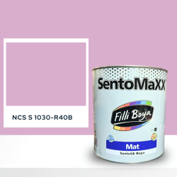 Filli Boya Sentomaxx Boya NCS S 1030-R40B