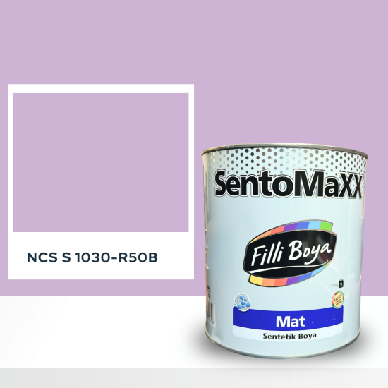 Filli Boya Sentomaxx Boya NCS S 1030-R50B