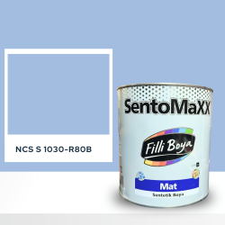 Filli Boya Sentomaxx Boya NCS S 1030-R80B