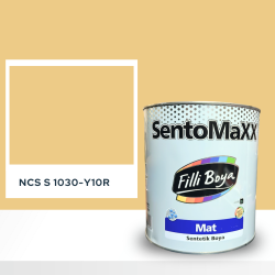 Filli Boya Sentomaxx Boya NCS S 1030-Y10R