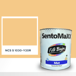 Filli Boya Sentomaxx Boya NCS S 1030-Y20R