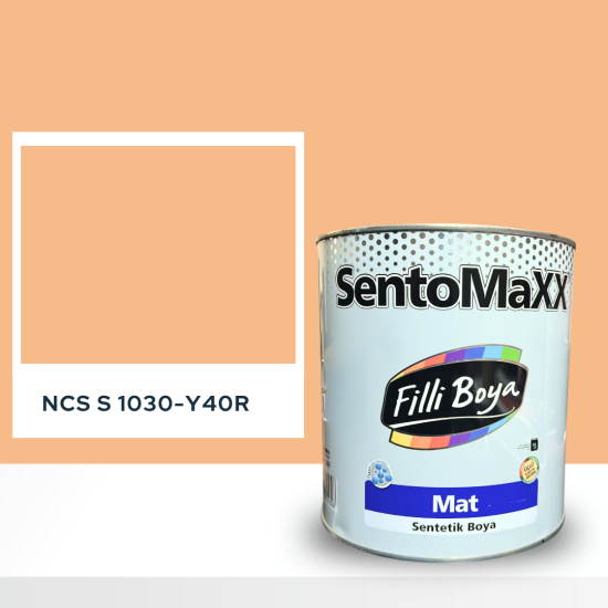 Filli Boya Sentomaxx Boya NCS S 1030-Y40R