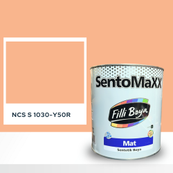 Filli Boya Sentomaxx Boya NCS S 1030-Y50R