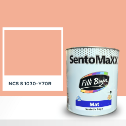 Filli Boya Sentomaxx Boya NCS S 1030-Y70R