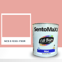 Filli Boya Sentomaxx Boya NCS S 1030-Y90R
