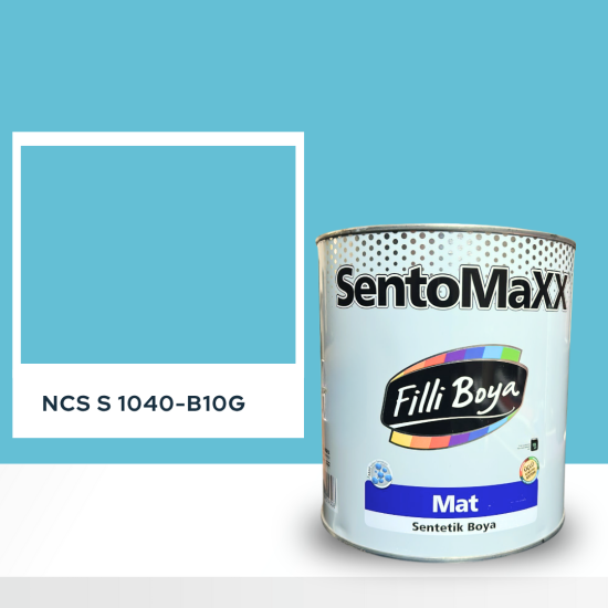 Filli Boya Sentomaxx Boya NCS S 1040-B10G