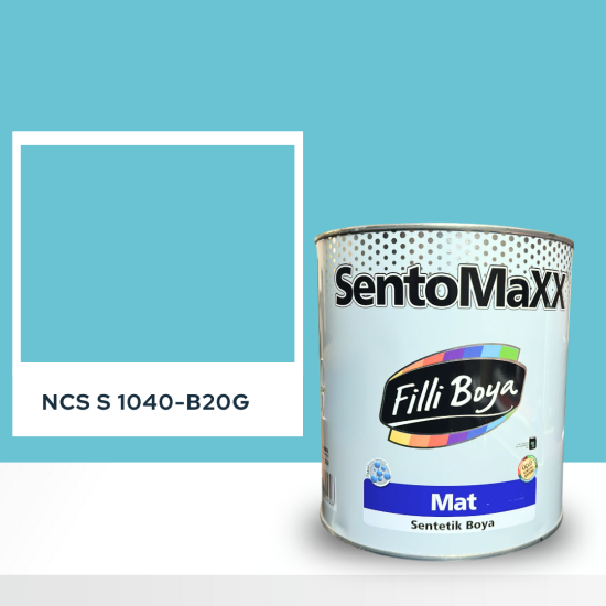 Filli Boya Sentomaxx Boya NCS S 1040-B20G