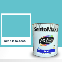 Filli Boya Sentomaxx Boya NCS S 1040-B30G