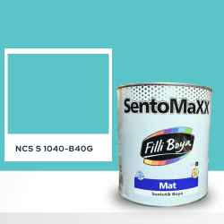 Filli Boya Sentomaxx Boya NCS S 1040-B40G