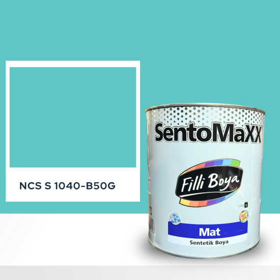 Filli Boya Sentomaxx Boya NCS S 1040-B50G Filli Boya Sentomaxx Boya NCS S 1040-B50G