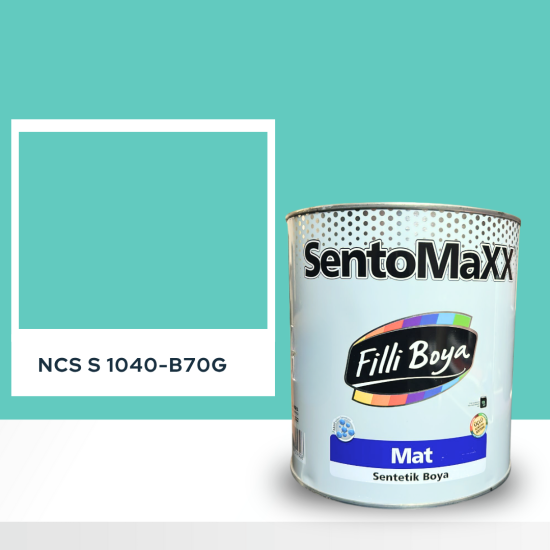Filli Boya Sentomaxx Boya NCS S 1040-B70G