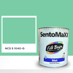 Filli Boya Sentomaxx Boya NCS S 1040-G