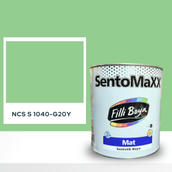 Filli Boya Sentomaxx Boya NCS S 1040-G20Y