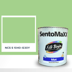 Filli Boya Sentomaxx Boya NCS S 1040-G30Y