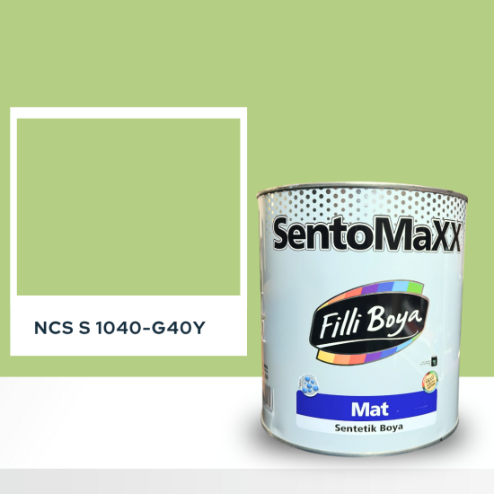 Filli Boya Sentomaxx Boya NCS S 1040-G40Y