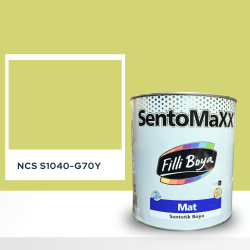 Filli Boya Sentomaxx Boya NCS S 1040-G70Y