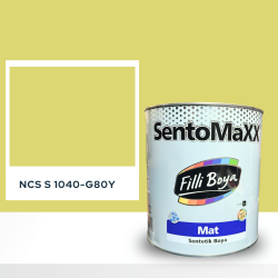 Filli Boya Sentomaxx Boya NCS S 1040-G80Y