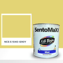 Filli Boya Sentomaxx Boya NCS S 1040-G90Y
