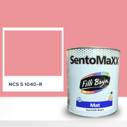 Filli Boya Sentomaxx Boya NCS S 1040-R