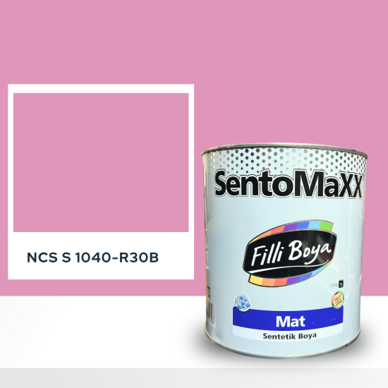 Filli Boya Sentomaxx Boya NCS S 1040-R30B