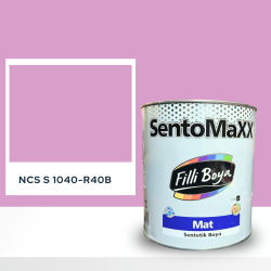 Filli Boya Sentomaxx Boya NCS S 1040-R40B