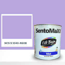 Filli Boya Sentomaxx Boya NCS S 1040-R60B