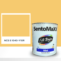 Filli Boya Sentomaxx Boya NCS S 1040-Y10R