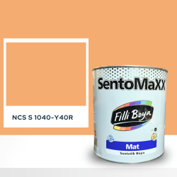Filli Boya Sentomaxx Boya NCS S 1040-Y40R