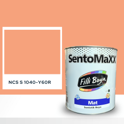 Filli Boya Sentomaxx Boya NCS S 1040-Y60R