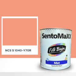 Filli Boya Sentomaxx Boya NCS S 1040-Y70R