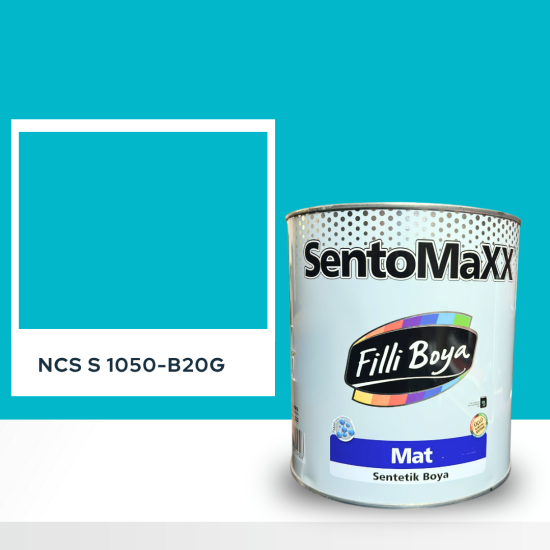 Filli Boya Sentomaxx Boya NCS S 1050-B20G