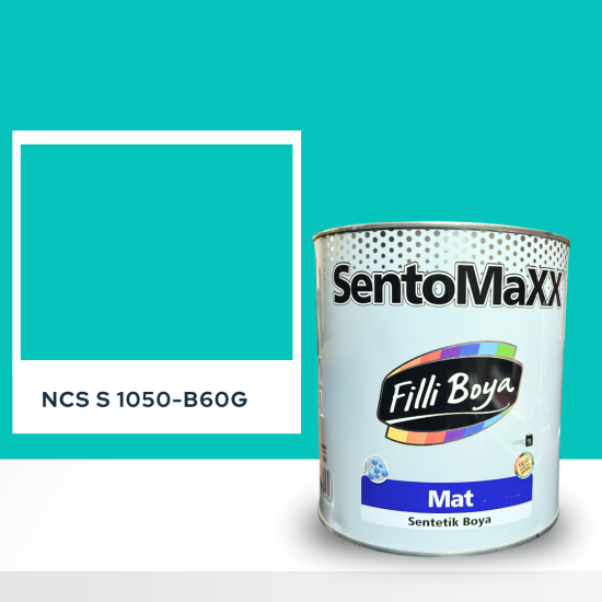 Filli Boya Sentomaxx Boya NCS S 1050-B60G