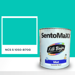 Filli Boya Sentomaxx Boya NCS S 1050-B70G