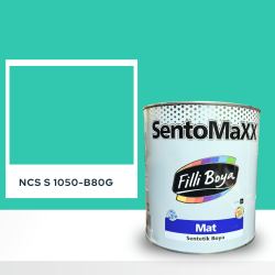 Filli Boya Sentomaxx Boya NCS S 1050-B80G